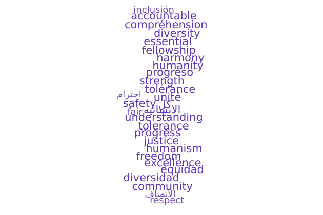 Updated Diversity Word Cloud